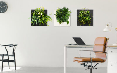 Groen op kantoor verbetert de productiviteit
